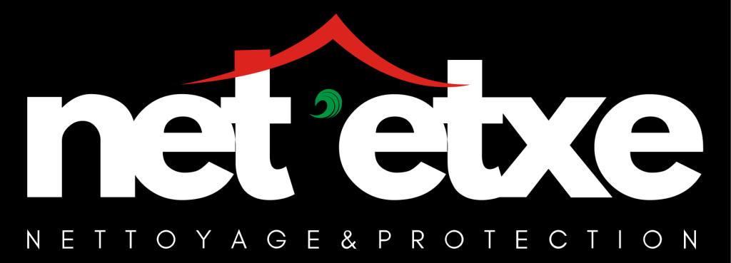 Logo-NetEtxe-1024x369